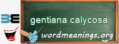 WordMeaning blackboard for gentiana calycosa